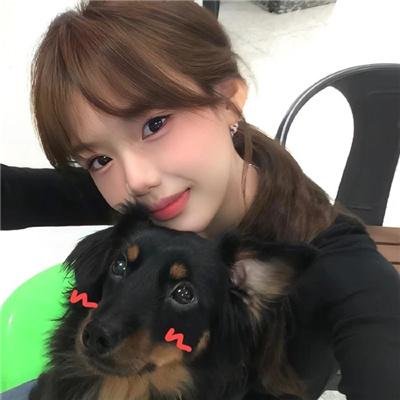 文豪野犬第一季