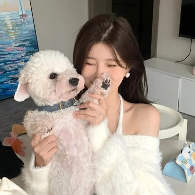 药药切克闹灵兽来一套